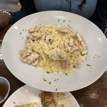 Mangia Bistro - Chicken with spaghetti and Alfredo sauce - Italian Near Me - Plano, Texas