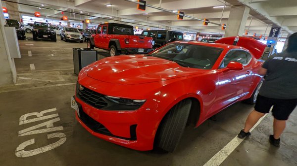 DOLLAR CAR RENTAL Updated June - L