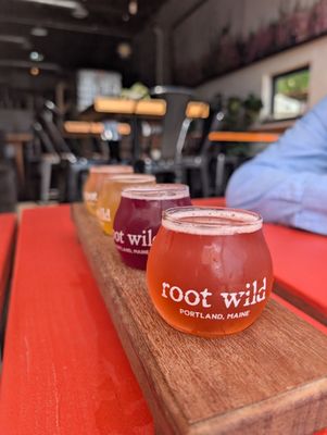 Root Wild Kombucha by null