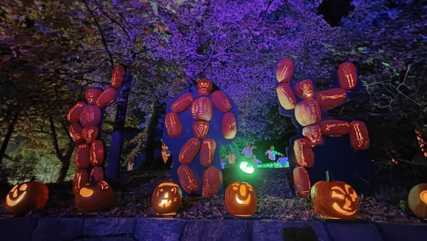The Great Jack O’Lantern Blaze: Hudson Valley by null