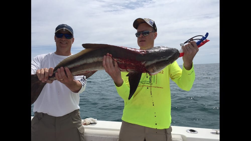 Fishdaddy Charter Logo