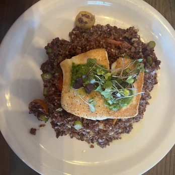 Suda - Fresh Pick (halibut on a bed of rice and vegetables) - New American Near Me - Santa Cruz, California Suda - Fresh Pick (halibut on a bed of rice and vegetables) - New American Near Me - Santa Cruz, California