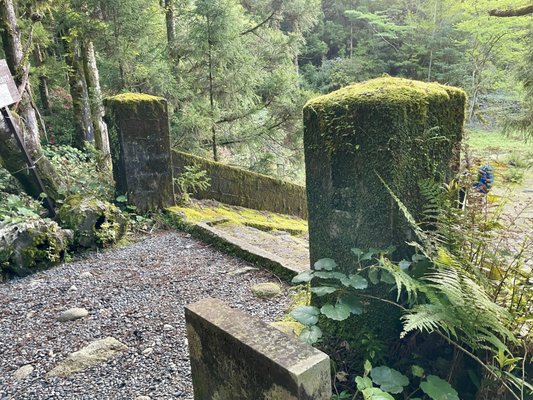 Yakusugi Land by null