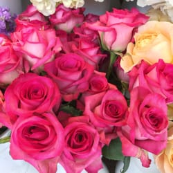 The Bud Stop - Here's your flower photo of the day, girls! Since your man might just forget to give you some ;0) !!!