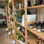 Photo of Frond Plant Shop