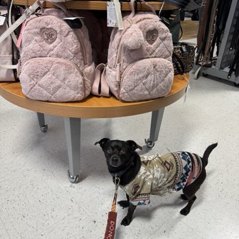 TJ Maxx - Does Darby need a fuzzy backpack? - Department Stores Near Me - Long Beach, California