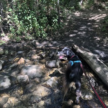Trail Canyon Falls - Hiking Near Me - Tujunga, California