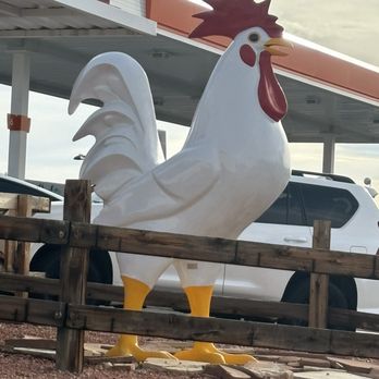 BirdHouse - Chicken Shop Near Me - Page, Arizona