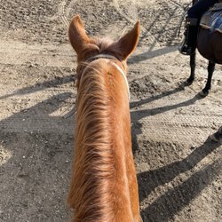 Rolling Hills Ranch