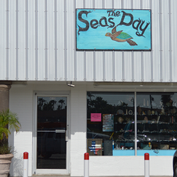 Seas The Day - Seas the Day
5312 Padre Blvd. (Next to the Island Market)
SPI, Tx. 78597