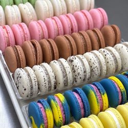 The Yogurt Bar