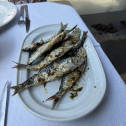 Restaurante o Lusitano - Sardines