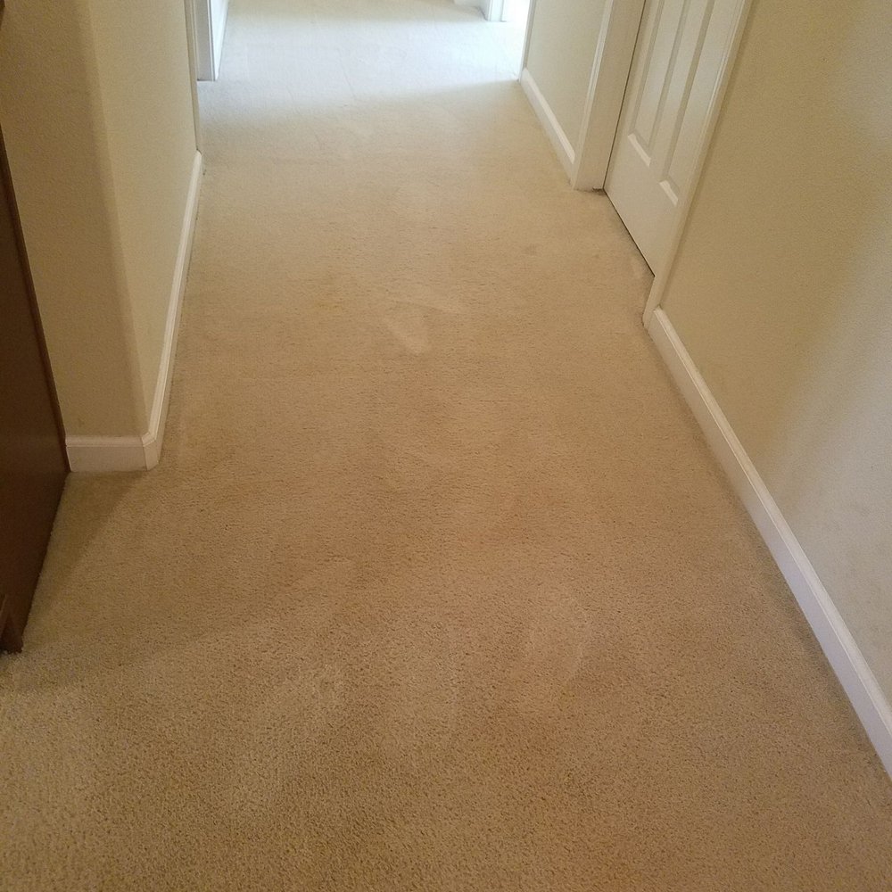 CarpetMed - Hallway After - Carpet Cleaning Near Me CarpetMed - Hallway After - Carpet Cleaning Near Me