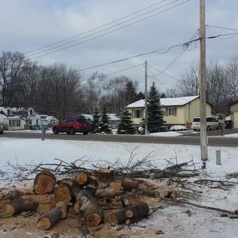 Sky Guy Tree Service - Tree Services Near Me Sky Guy Tree Service - Tree Services Near Me