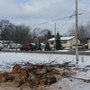 Photo of Sky Guy Tree Service