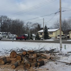 Sky Guy Tree Service