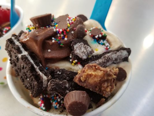 Coastal Frozen Yogurt by null