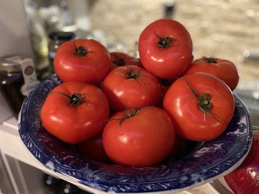 Athens Restaurant by null