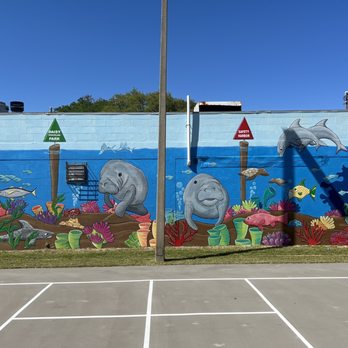 Sea Life Mural - Public Art! Beautiful! - Local Flavor Near Me - Safety Harbor, Florida Sea Life Mural - Public Art! Beautiful! - Local Flavor Near Me - Safety Harbor, Florida