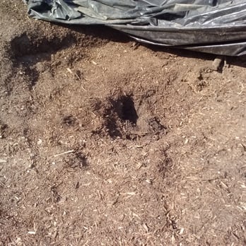 Franco Tree Service - huge stump after - Tree Services Near Me - Gilroy, California Franco Tree Service - huge stump after - Tree Services Near Me - Gilroy, California