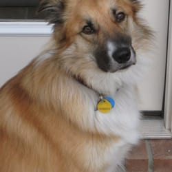 Hill Country Animal Hospital Gift Greeting Cards Email, Text