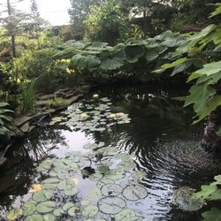 Marlow Orchids