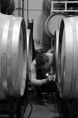 Madson Wines by null