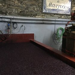 Quinta de Marrocos - New harvest