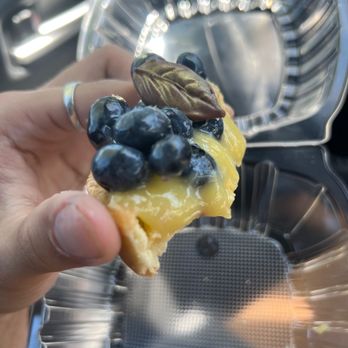 Rumi's Oasis - Blueberry Tart - Bakeries Near Me - Elk Grove, California Rumi's Oasis - Blueberry Tart - Bakeries Near Me - Elk Grove, California