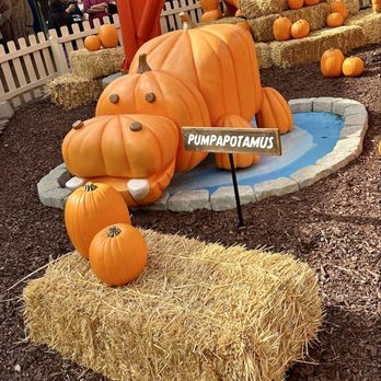Citadel Outlets - Halloween decor. - Outlet Stores Near Me - Los Angeles, California