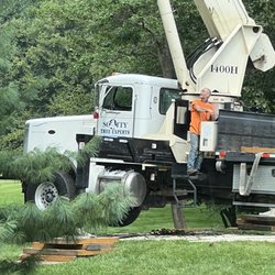 Scotty Tree Experts - Boss is hard at work!
