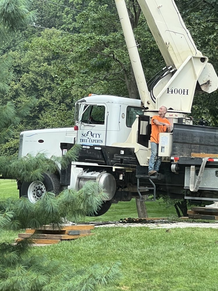 Scotty Tree Experts - tree service in Succasunna, NJ