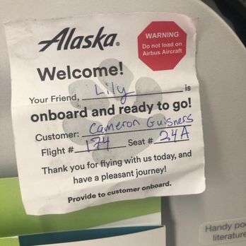 Alaska Airlines - The tag they give you before take off :) - Airlines Near Me - Honolulu, Hawaii Alaska Airlines - The tag they give you before take off :) - Airlines Near Me - Honolulu, Hawaii