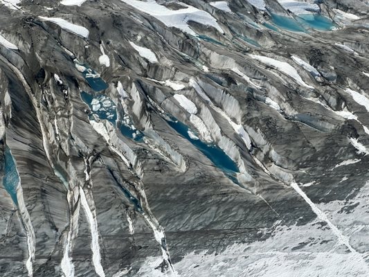 Rust's Flying Service by null