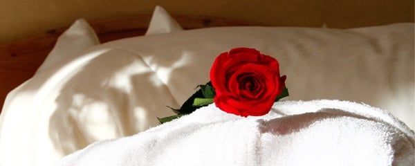 Hotel Petrus by null