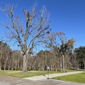 Rothko Chapel - Beautiful - Art Museums Near Me - Houston, Texas