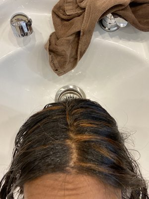 Studio Diva Salon & Spa by null