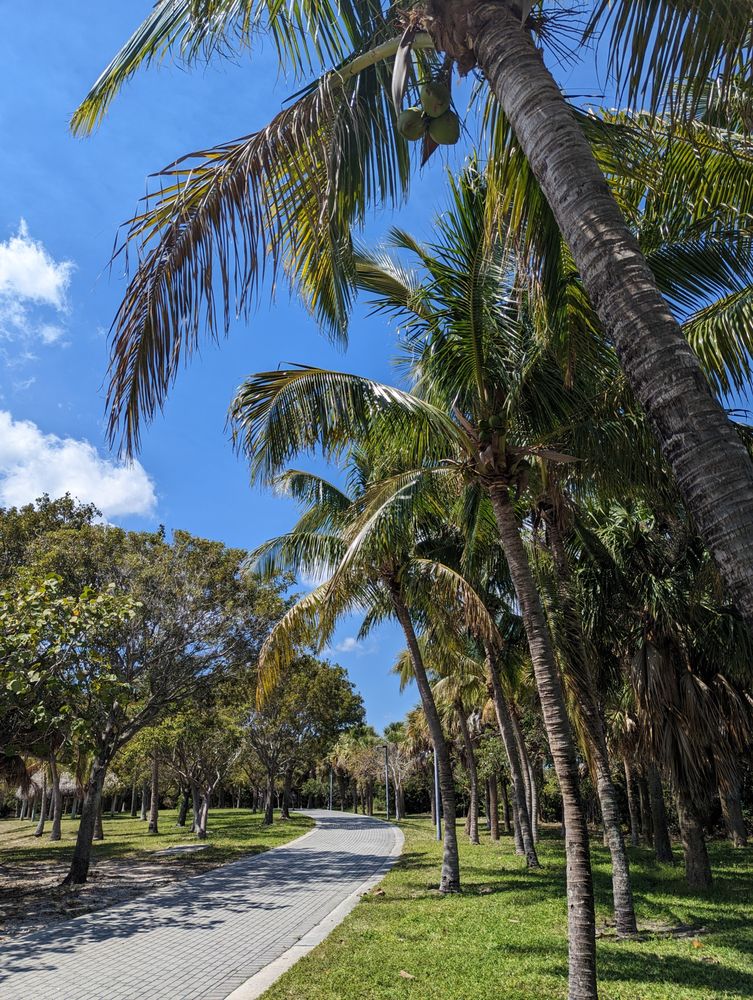 Peanut Island Park Image