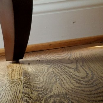 WellNest Professional Cleaning - They don't clean under furniture - Home Cleaning Near Me - Falls Church, Virginia WellNest Professional Cleaning - They don't clean under furniture - Home Cleaning Near Me - Falls Church, Virginia