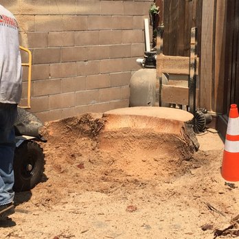 Clark's Tree Works - Tree Services Near Me - Modesto, California Clark's Tree Works - Tree Services Near Me - Modesto, California