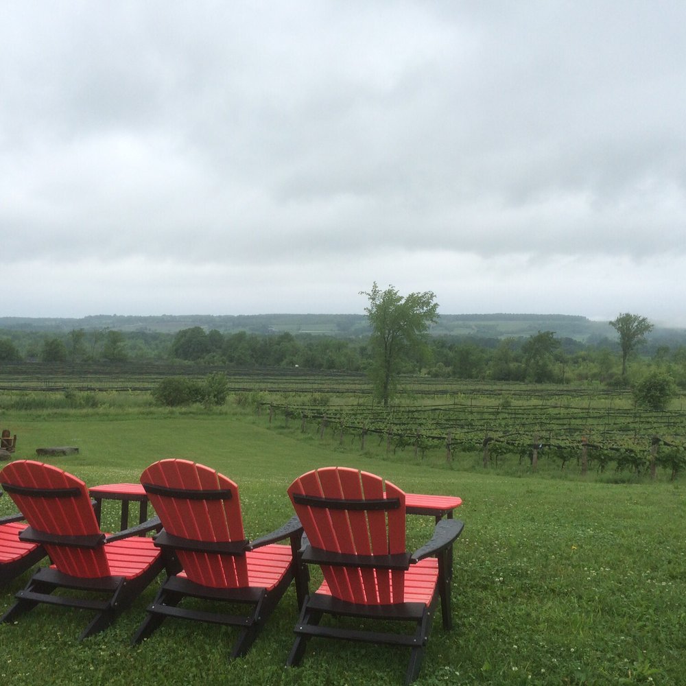 Coffin Ridge - I would enjoy sipping a glass here on a sunny day! - Wineries Near Me - Annan, Ontario Coffin Ridge - I would enjoy sipping a glass here on a sunny day! - Wineries Near Me - Annan, Ontario