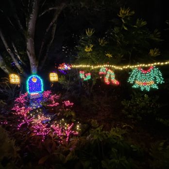 Garden D'Lights - Local Flavor Near Me - Bellevue, Washington Garden D'Lights - Local Flavor Near Me - Bellevue, Washington