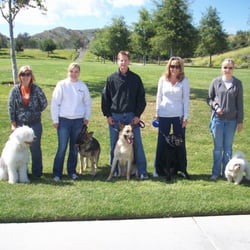 Lindsey's Waggin' Tails Pet Training - Lindsey McGeorge during a group dog training session!