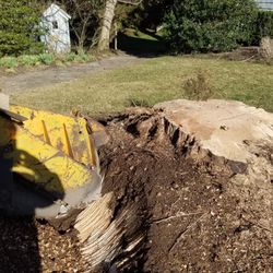 GM Stump Grinding