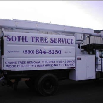Sotil Tree Service - Tree Services Near Me - Suffield, Connecticut Sotil Tree Service - Tree Services Near Me - Suffield, Connecticut