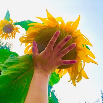 Navarra Gardens - Venues & Event Spaces Near Me - Willamina, Oregon Navarra Gardens - Venues & Event Spaces Near Me - Willamina, Oregon