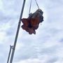 Photo of Everest Tree Service