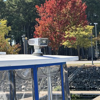 Stanfield's River Bottom Grill - Colorful trees for fall - Seafood Near Me - Florence, Alabama