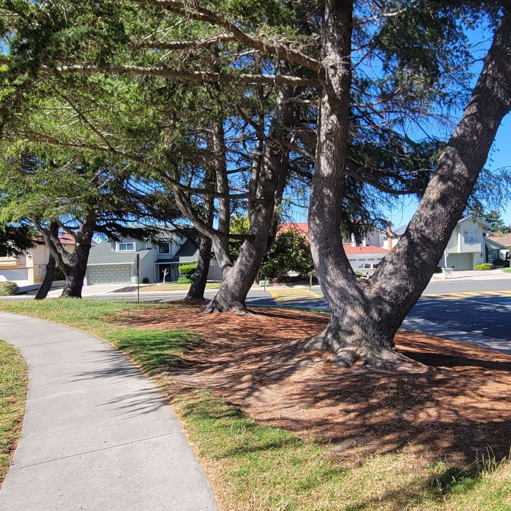 Pioneer Park - Walk - Parks Near Me - Union City, California Pioneer Park - Walk - Parks Near Me - Union City, California