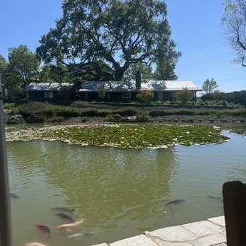 Grapeline Wine Tours - Wine Tours Near Me - Temecula, California Grapeline Wine Tours - Wine Tours Near Me - Temecula, California